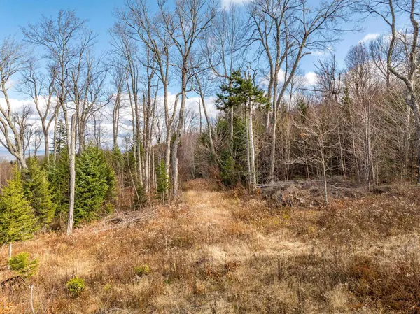 $489,000 | 706 Vermont Rte 100, Stratton, VT 05360