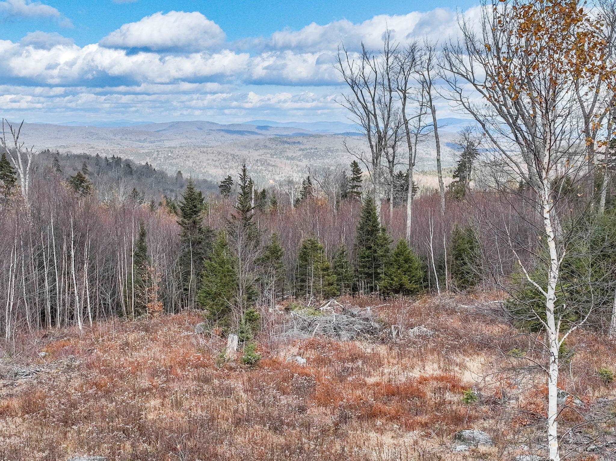 706 Vermont Rte 100 Stratton, VT 05360 - Photo 29 of 36