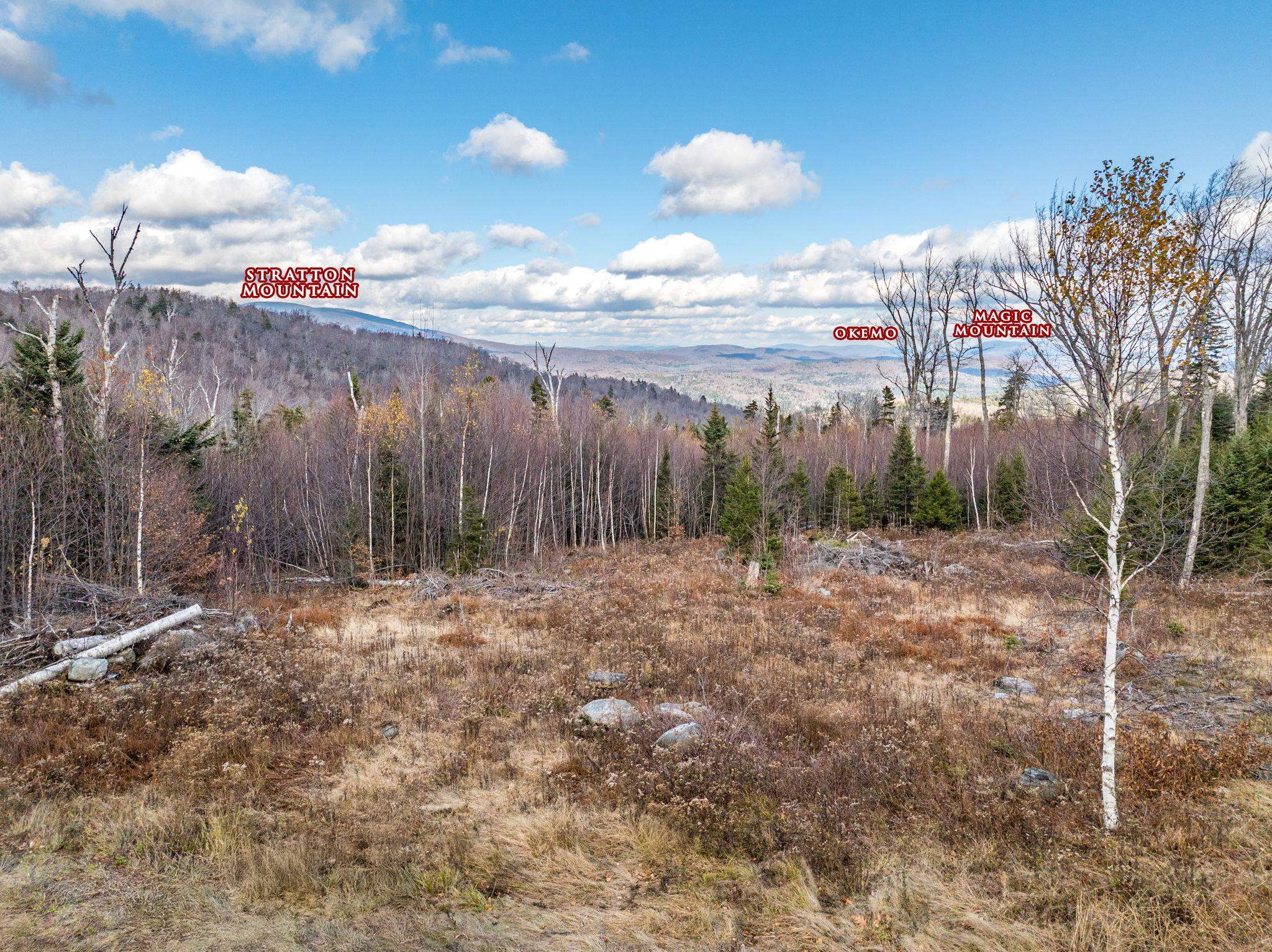 706 Vermont Rte 100 Stratton, VT 05360 - Photo 30 of 36