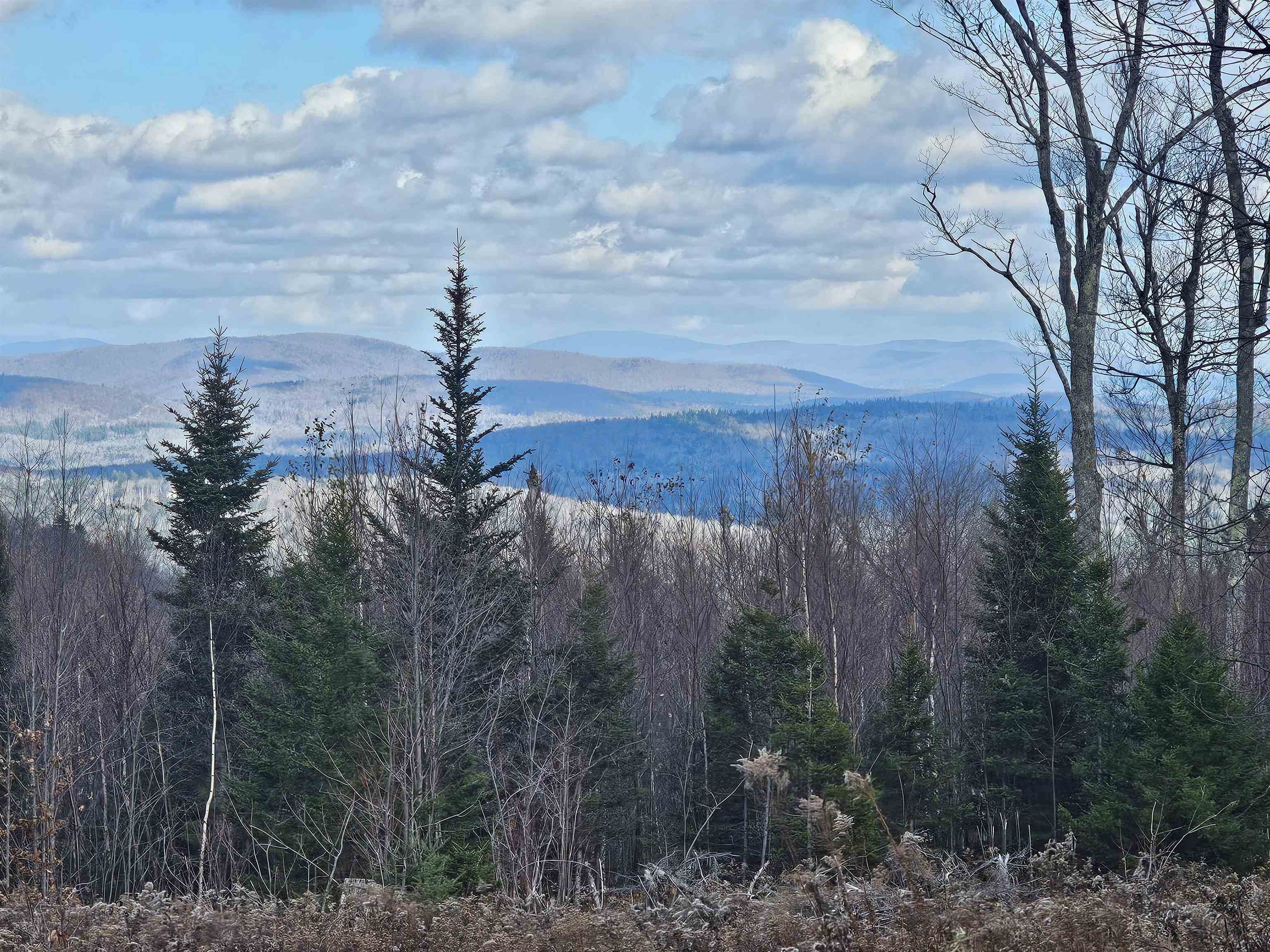 706 Vermont Rte 100 Stratton, VT 05360 - Photo 3 of 36