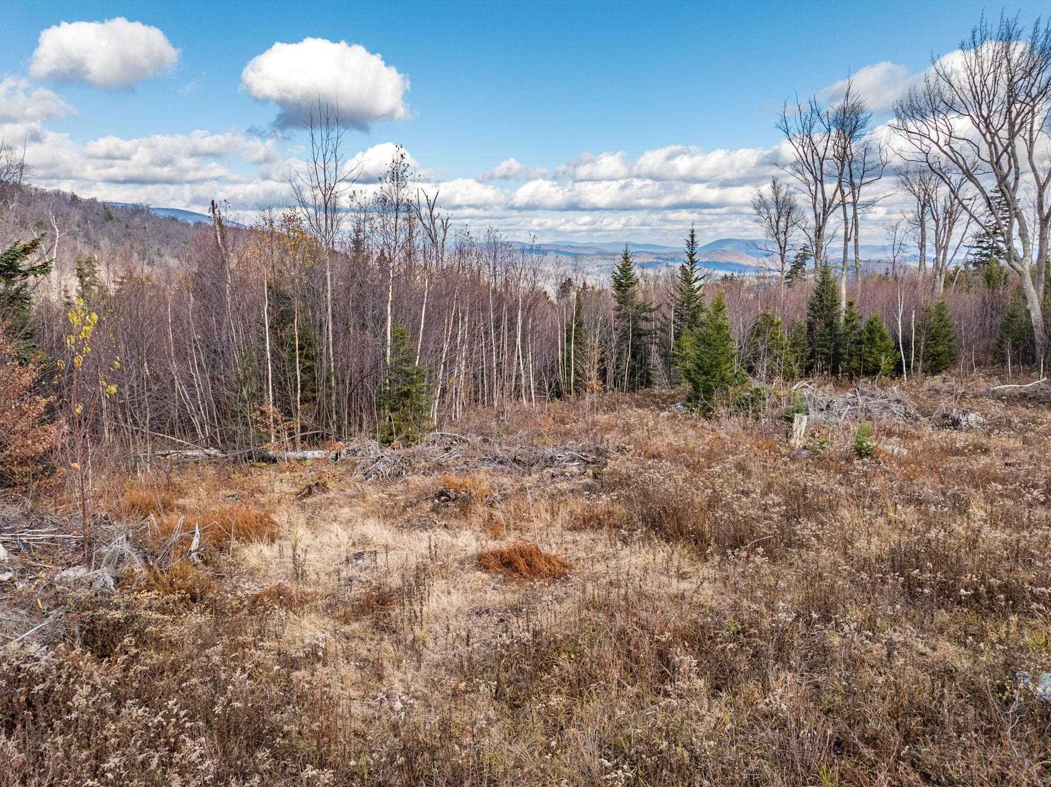 706 Vermont Rte 100 Stratton, VT 05360 - Photo 31 of 36