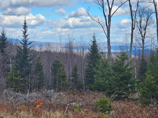 $499,000 | 706 Vermont Rte 100, Stratton, VT 05360