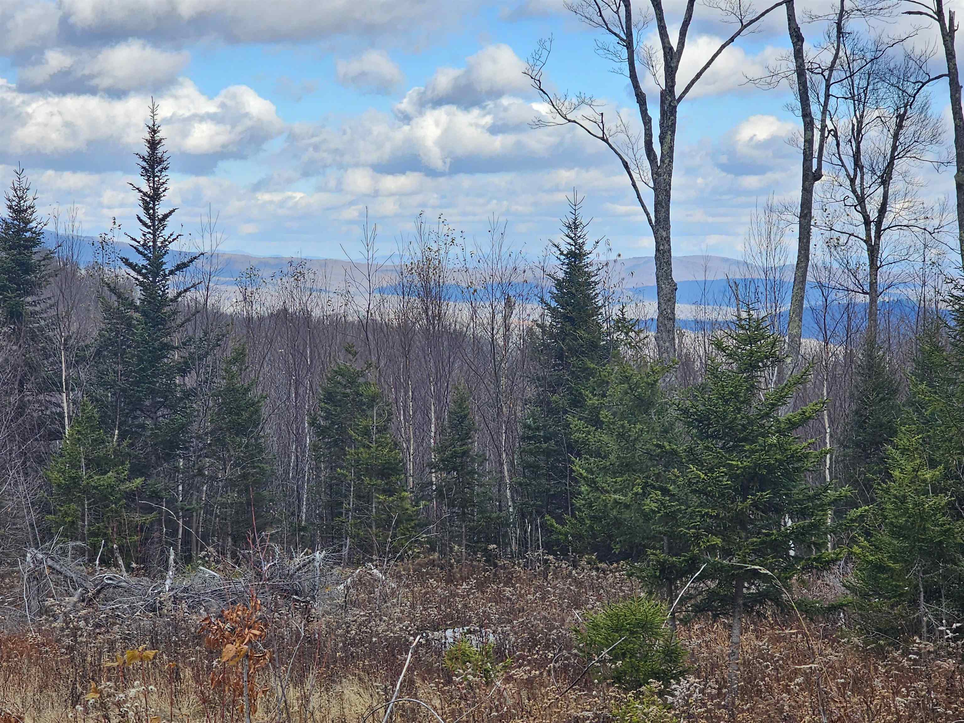 706 Vermont Rte 100 Stratton, VT 05360 - Photo 4 of 36