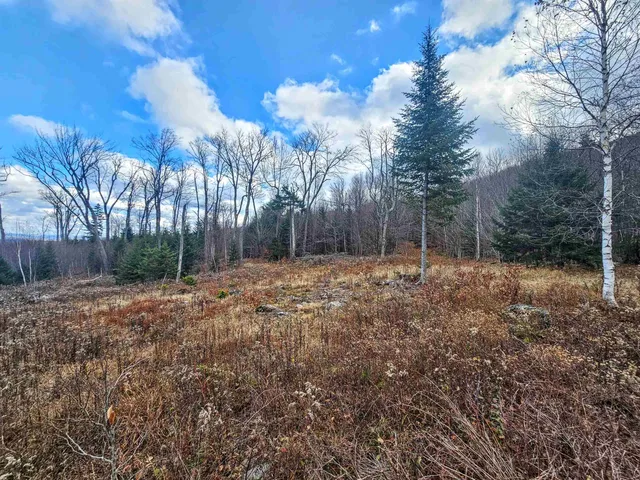 $499,000 | 706 Vermont Rte 100, Stratton, VT 05360
