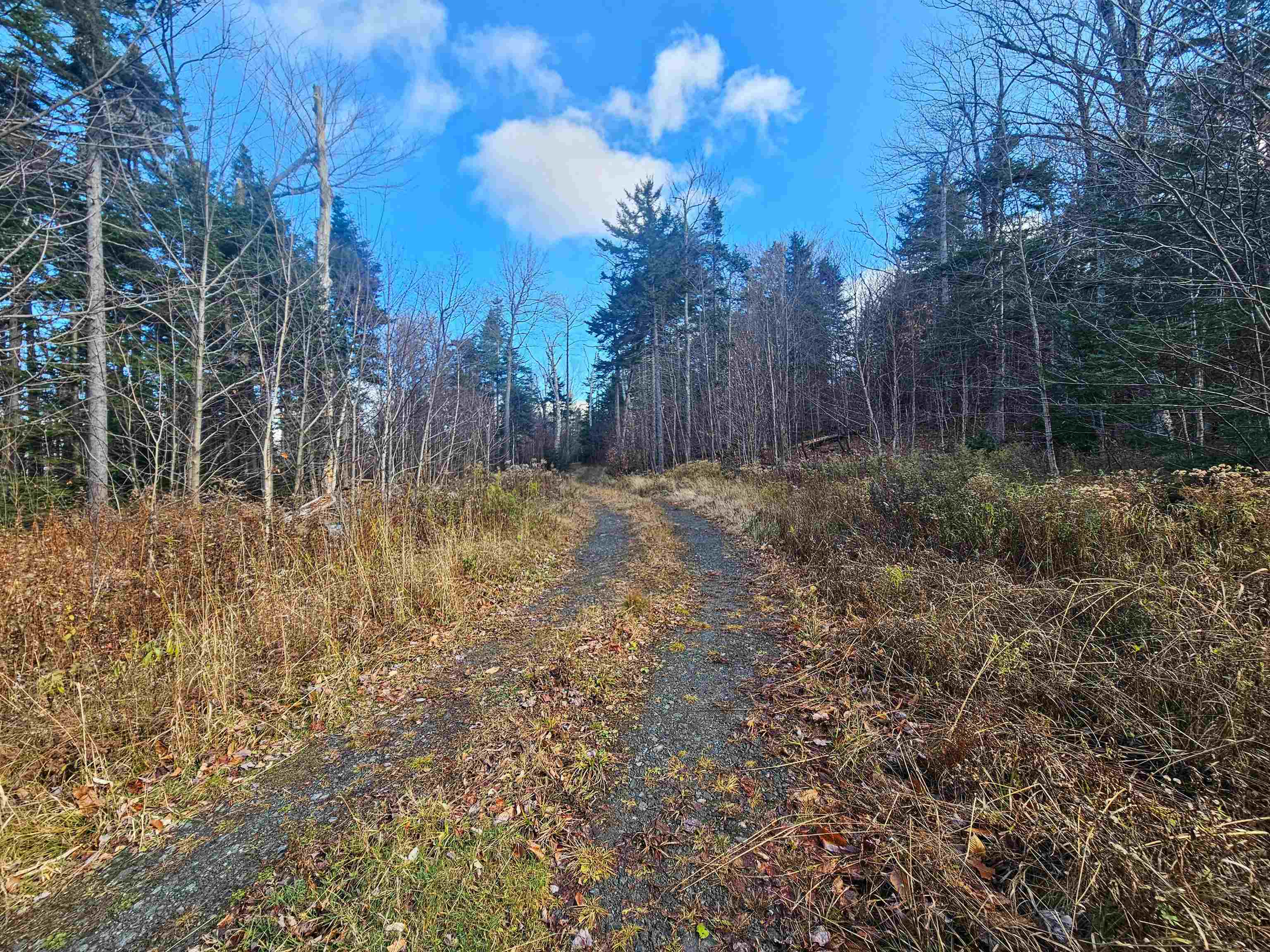 706 Vermont Rte 100 Stratton, VT 05360 - Photo 10 of 36