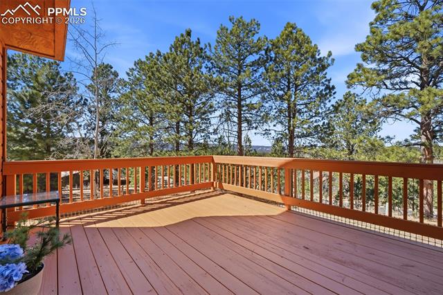 1100 Pine Ridge Road Woodland Park, CO 80863 - Photo 34 of 49