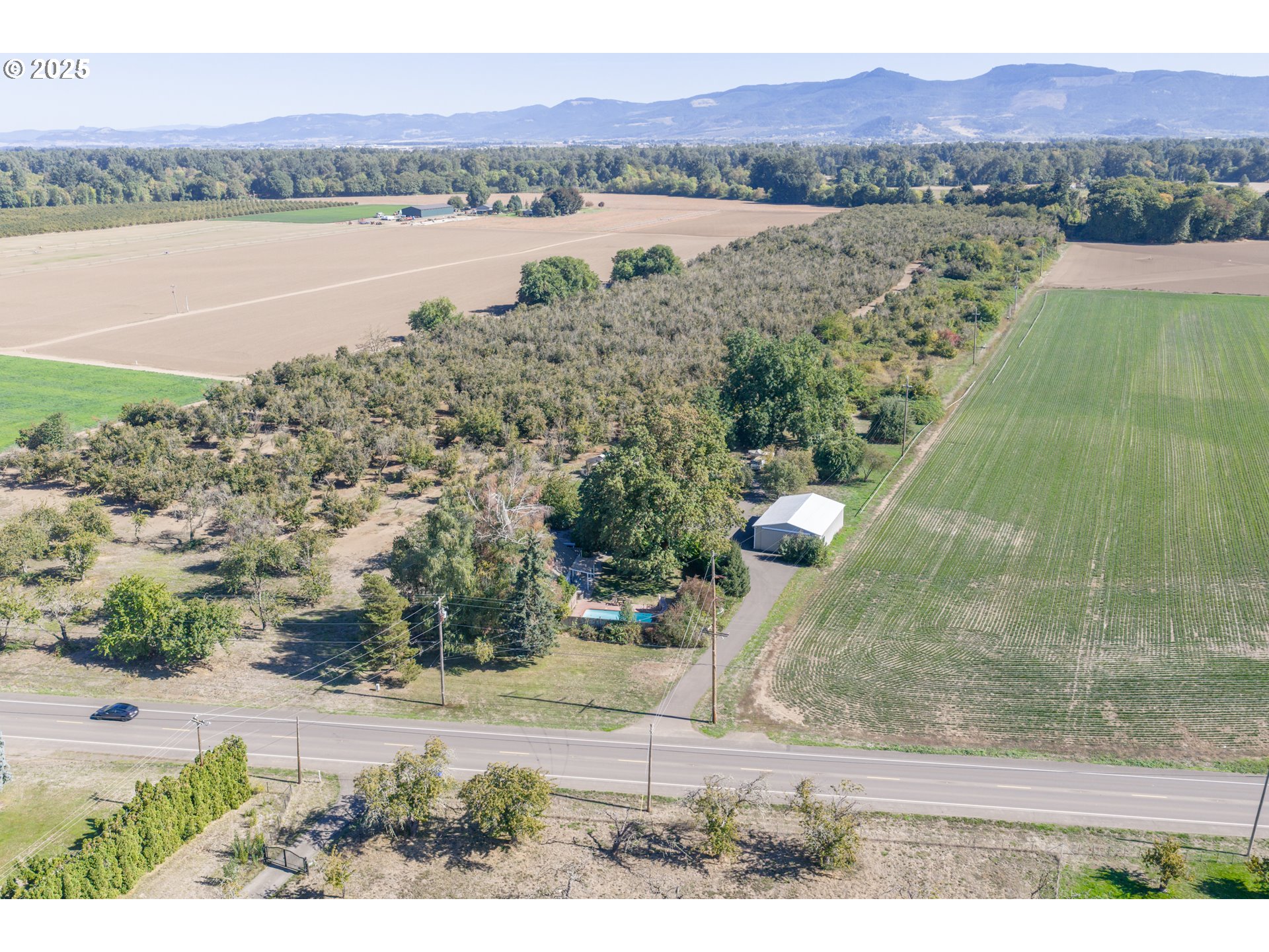 92815 River Road Junction City, OR 97448 - Photo 41 of 48 Gallery Image 41