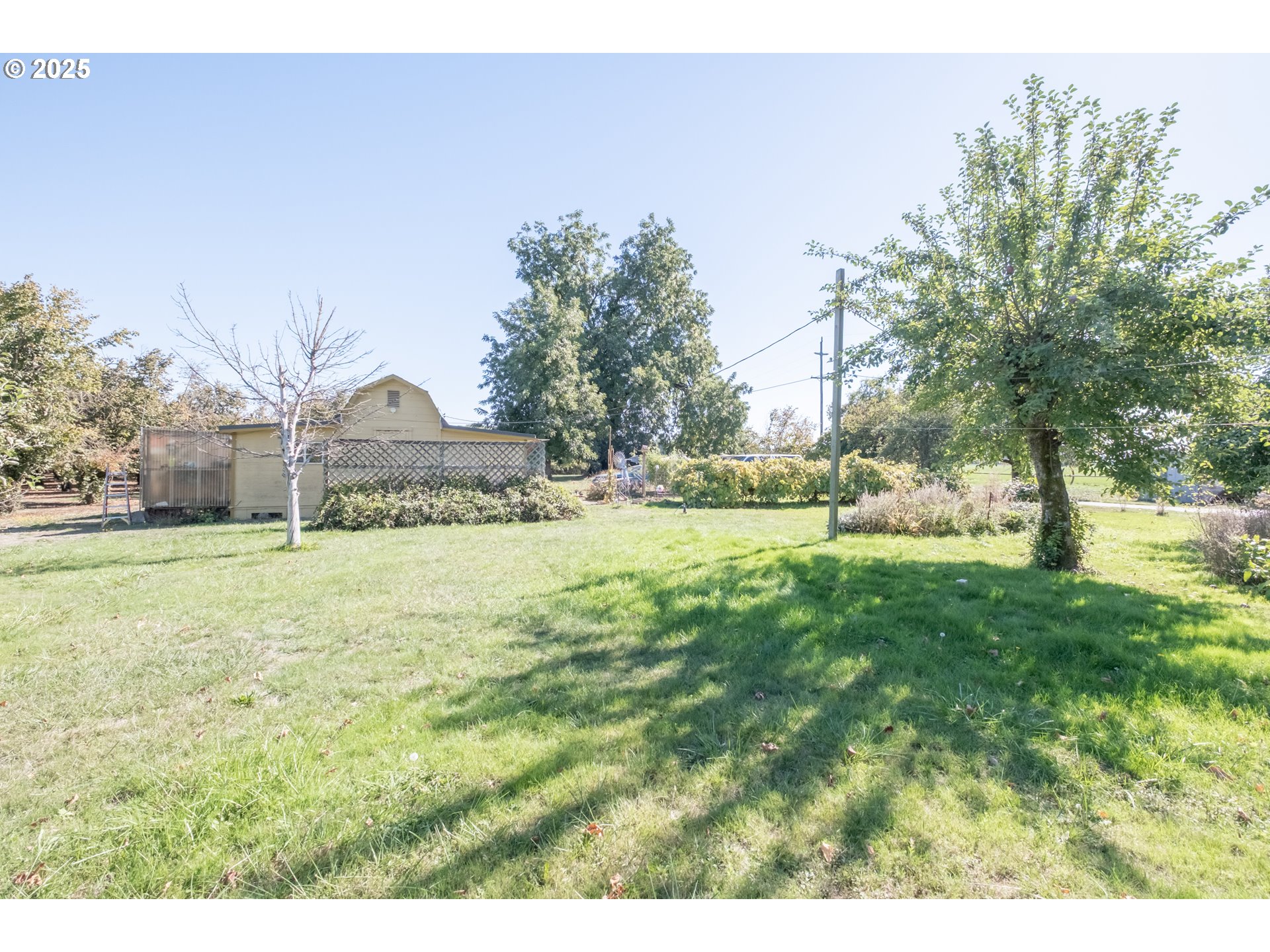 92815 River Road Junction City, OR 97448 - Photo 46 of 48 Gallery Image 46