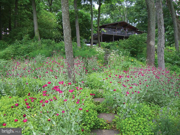 236 Cafferty Road Pipersville, PA 18947 - Photo 3 of 25