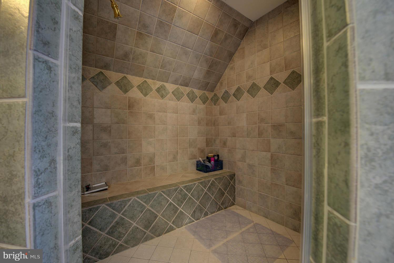 5327 Pond Mountain Road Broad Run, VA 20137 - Photo 16 of 30 Over-sized Shower in Owners Bath
