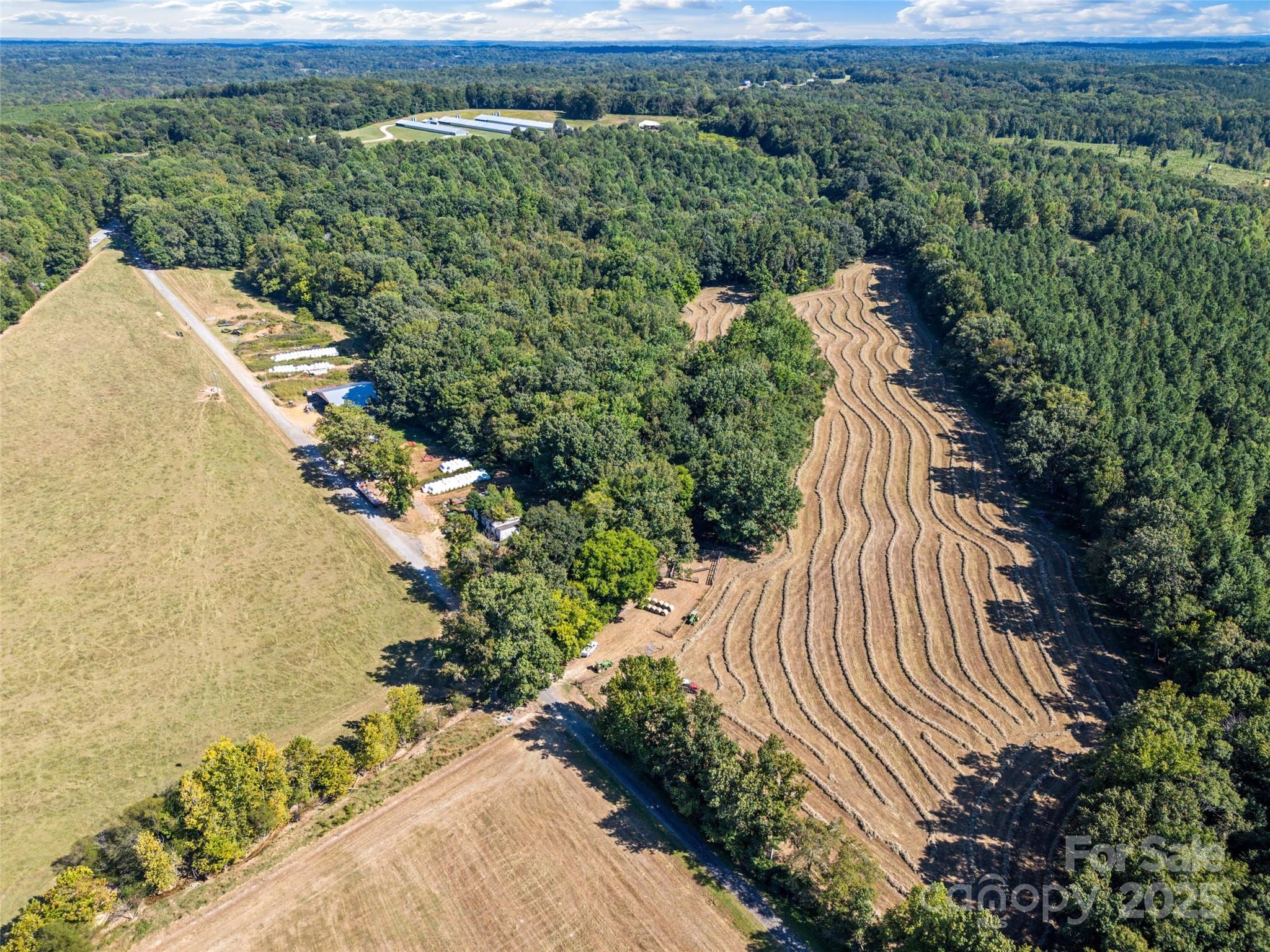 3539 Highway 97 Sharon, SC 29742 - Photo 12 of 19 a view of outdoor space and yard with green space