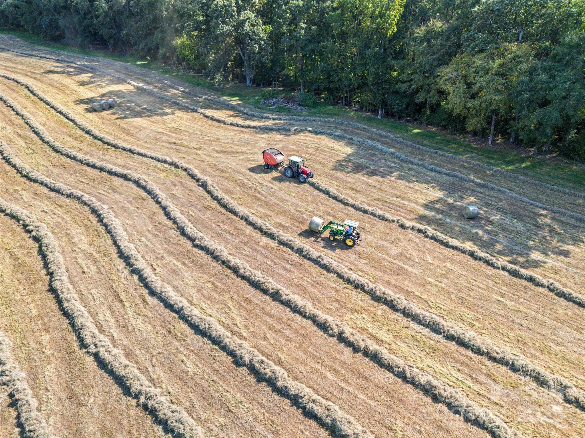 3539 Highway 97 Sharon, SC 29742 - Photo 15 of 19 a view of a yard with street