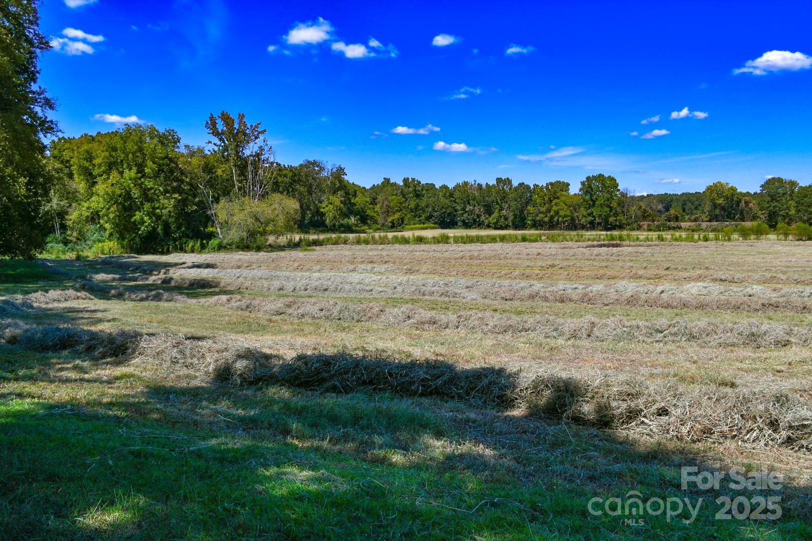 3539 Highway 97 Sharon, SC 29742 - Photo 2 of 19 a view of lake view and mountain view
