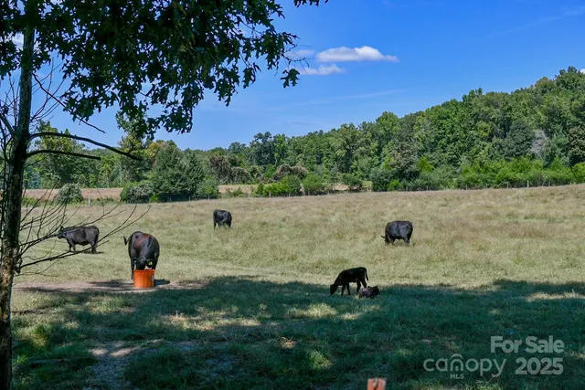 $960,000 | 3539 Highway 97, Sharon, SC 29742