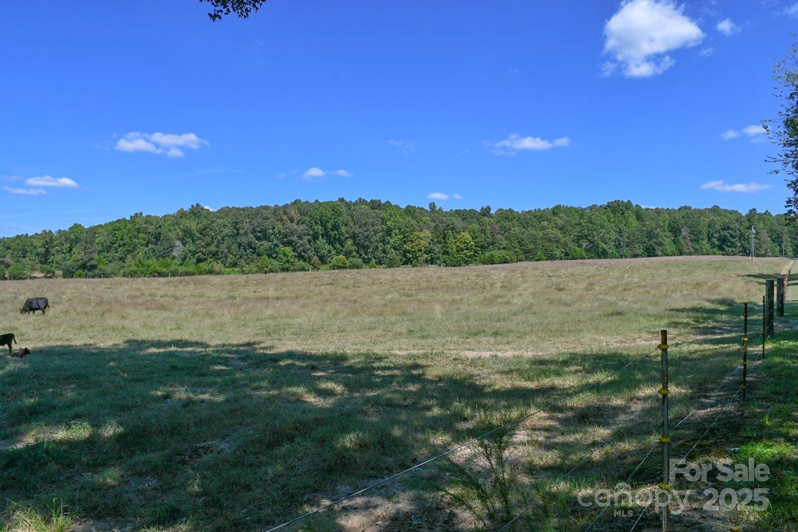 3539 Highway 97 Sharon, SC 29742 - Photo 4 of 19 a view of lake with green space