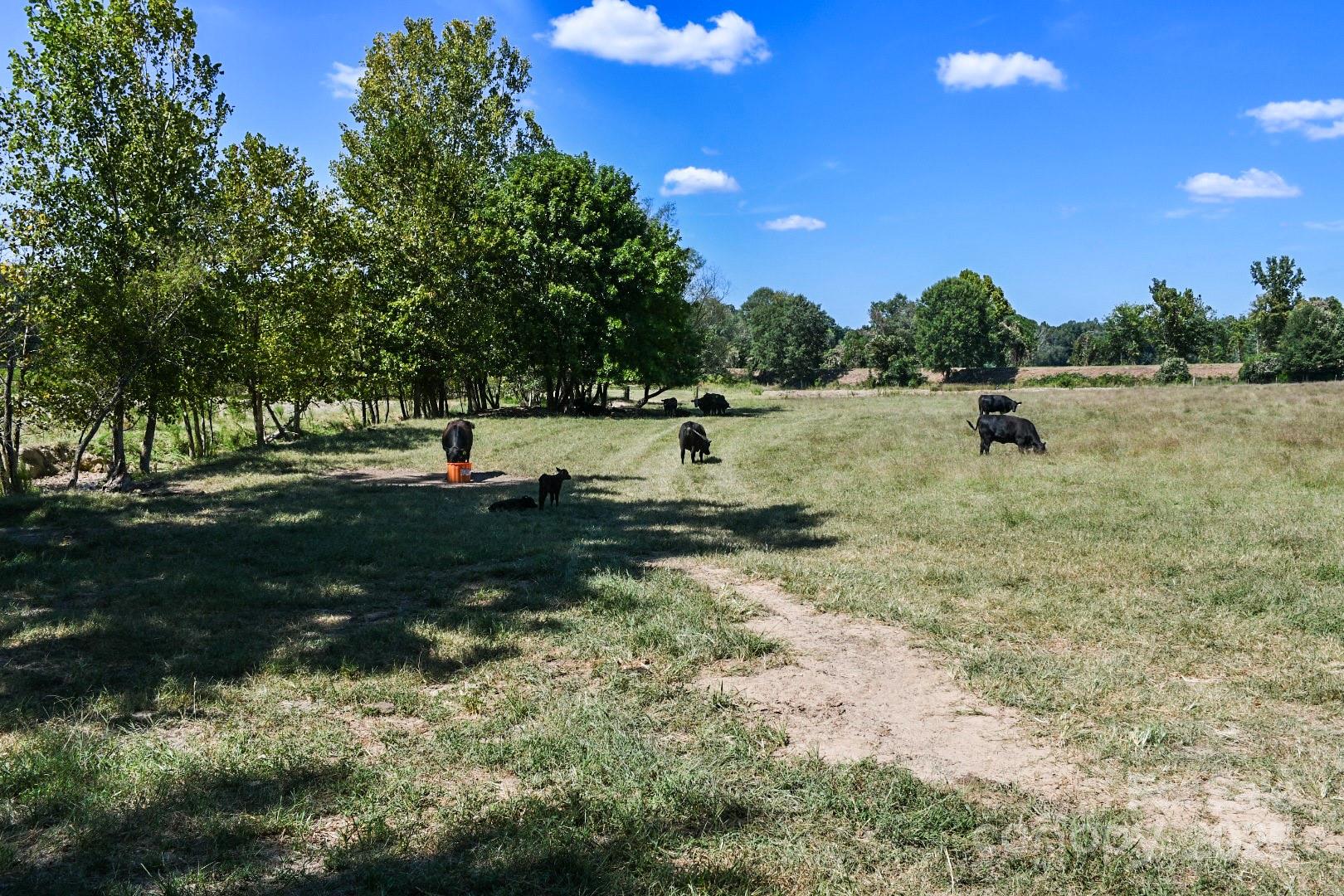 3539 Highway 97 Sharon, SC 29742 - Photo 5 of 19 a view of a lake view