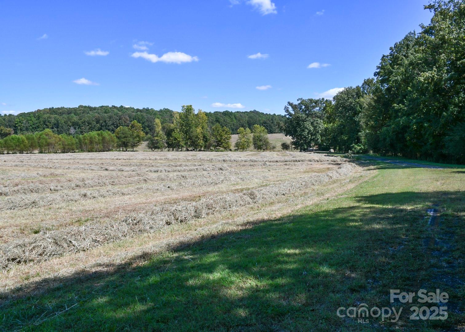 3539 Highway 97 Sharon, SC 29742 - Photo 7 of 19 a view of outdoor space with ocean view