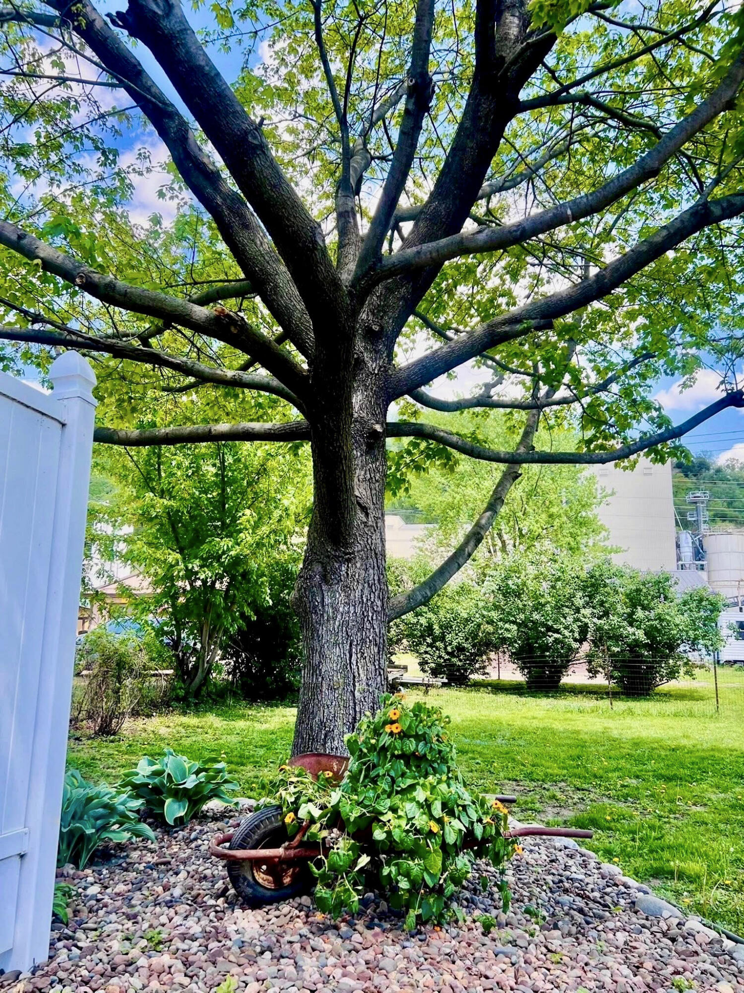 110 South Main Street Cochrane, WI 54622 - Photo 20 of 27 27-IMG_9789