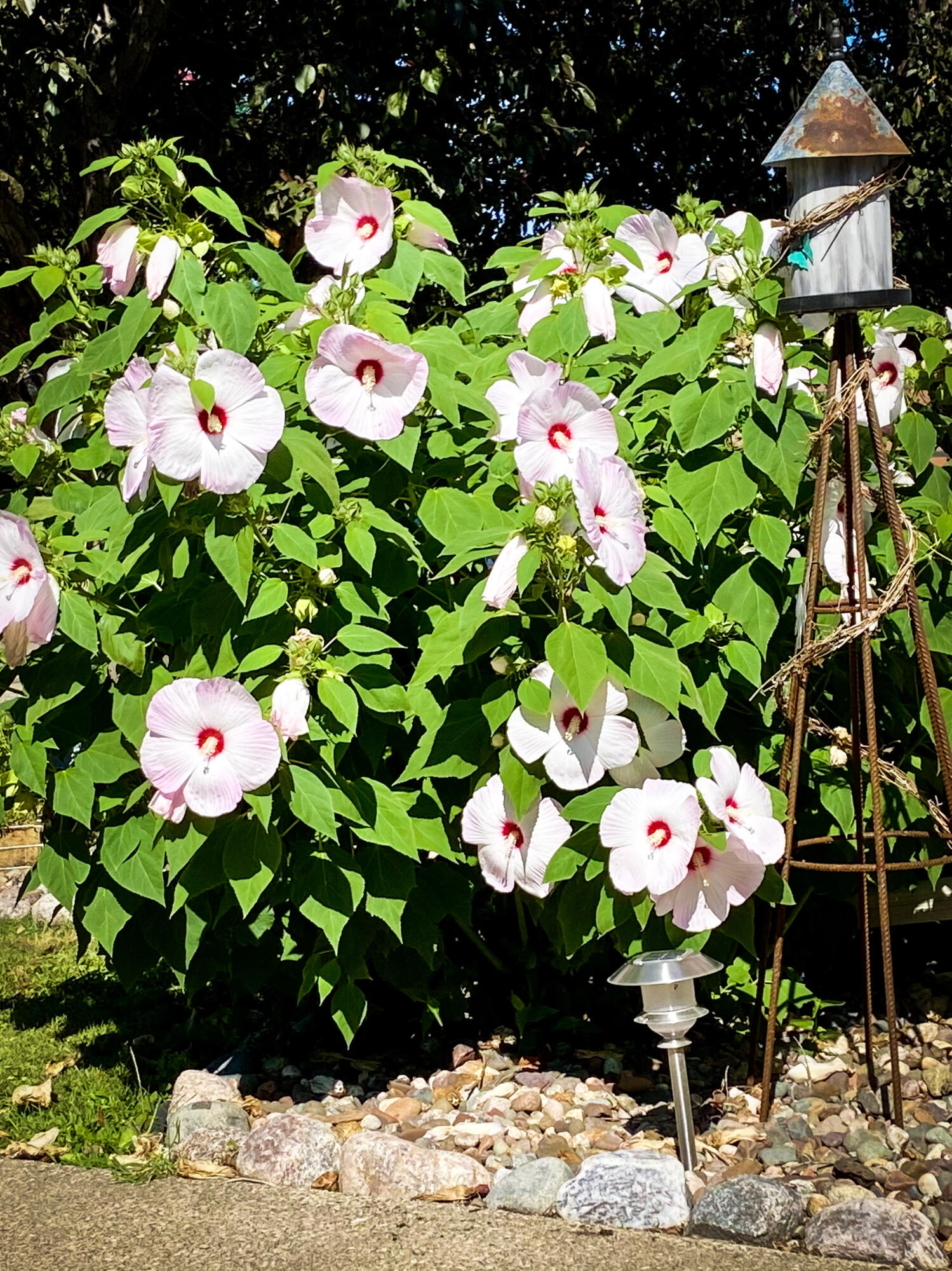 110 South Main Street Cochrane, WI 54622 - Photo 23 of 27 1-IMG_2875