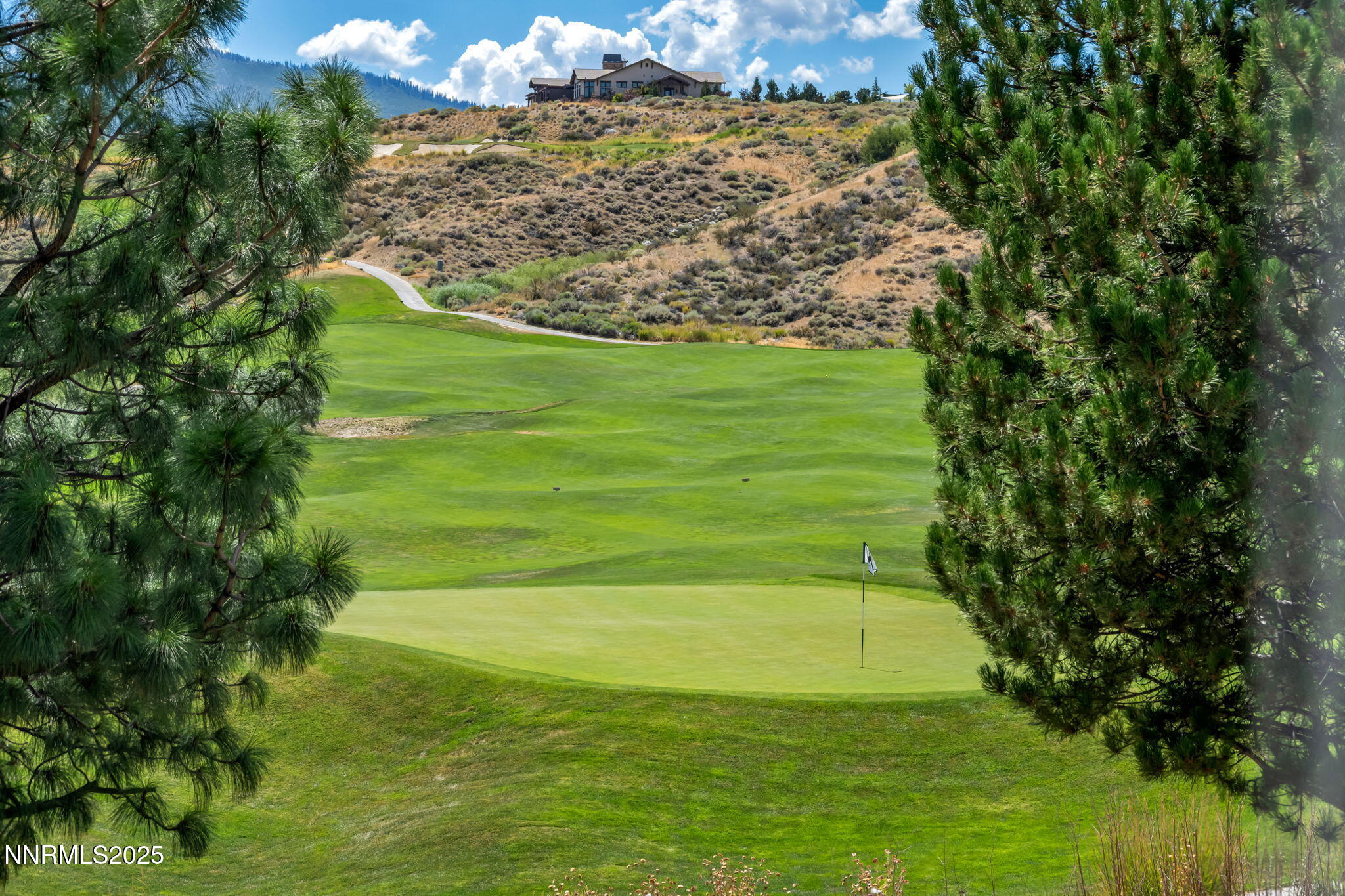 8200 Antler Pointe Court Reno, NV 89523 - Photo 7 of 36 a view of a golf ground with large trees