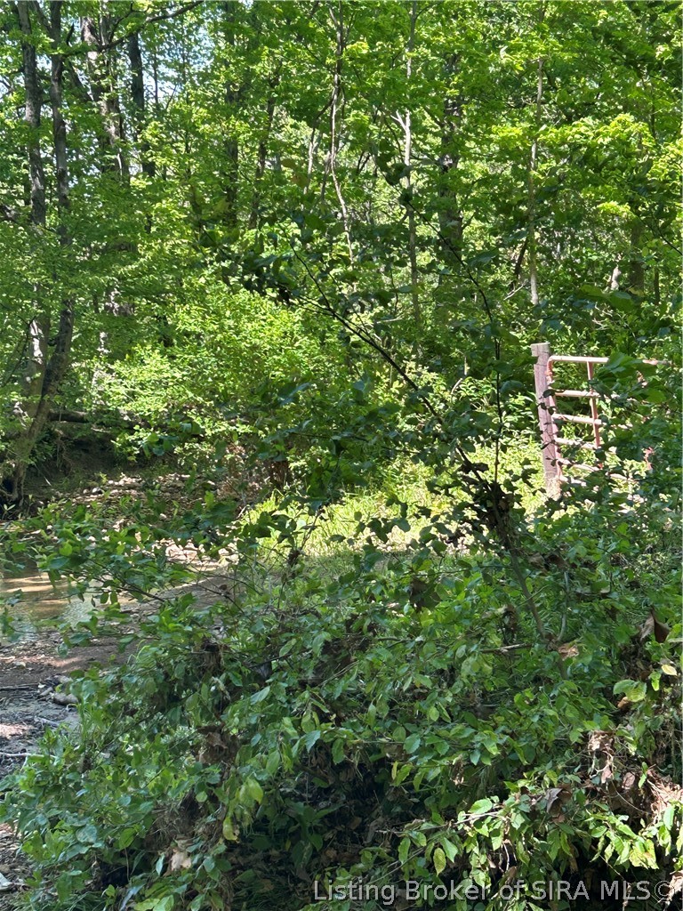 Goat Hollow Road Vallonia, IN 47281 - Photo 15 of 18