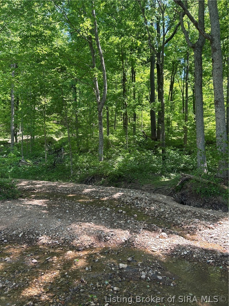 Goat Hollow Road Vallonia, IN 47281 - Photo 17 of 18