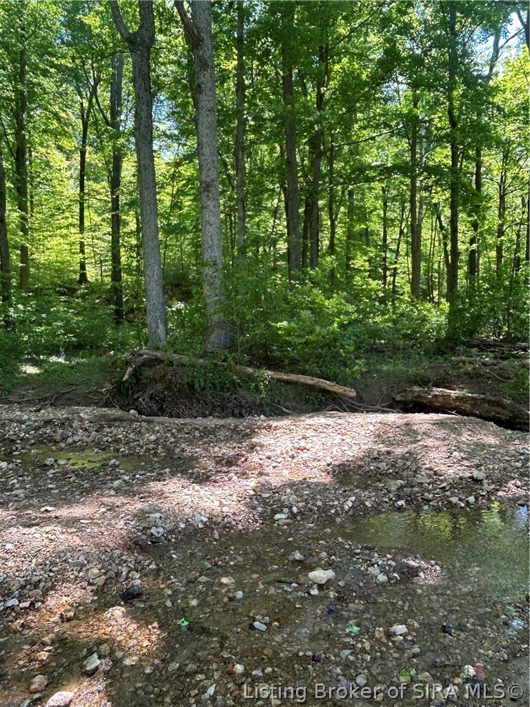 Goat Hollow Road Vallonia, IN 47281 - Photo 5 of 18