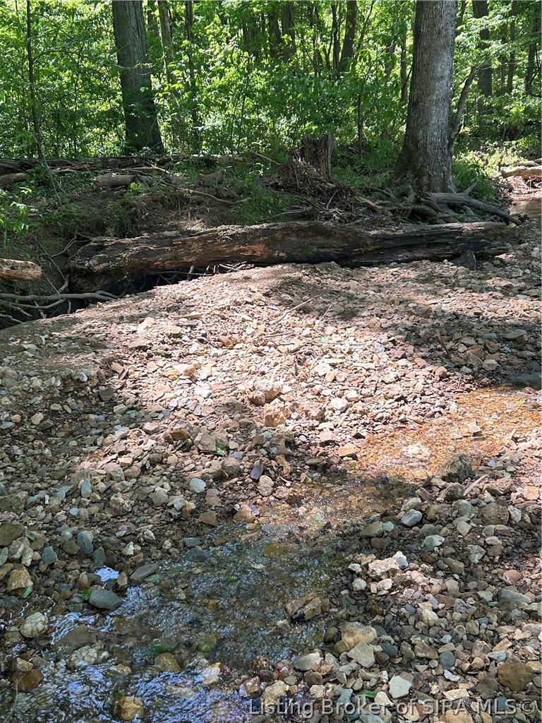 Goat Hollow Road Vallonia, IN 47281 - Photo 8 of 18