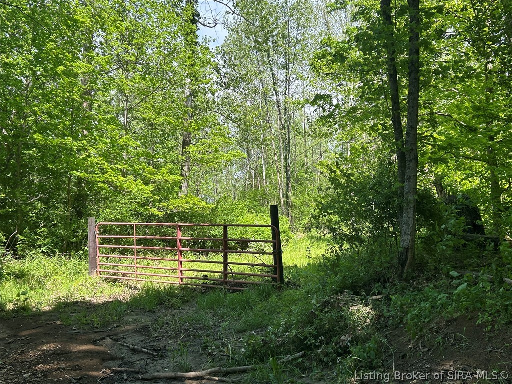Goat Hollow Road Vallonia, IN 47281 - Photo 9 of 18