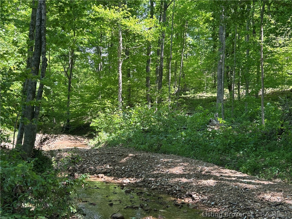 Goat Hollow Road Vallonia, IN 47281 - Photo 10 of 18