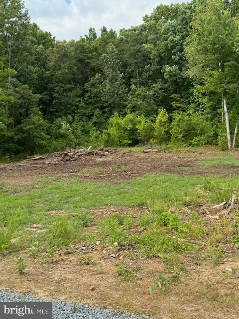 Doctor's Road Louisa, VA 23093 - Photo 2 of 2 Conventional gravity fed septic system for 3 bdrms