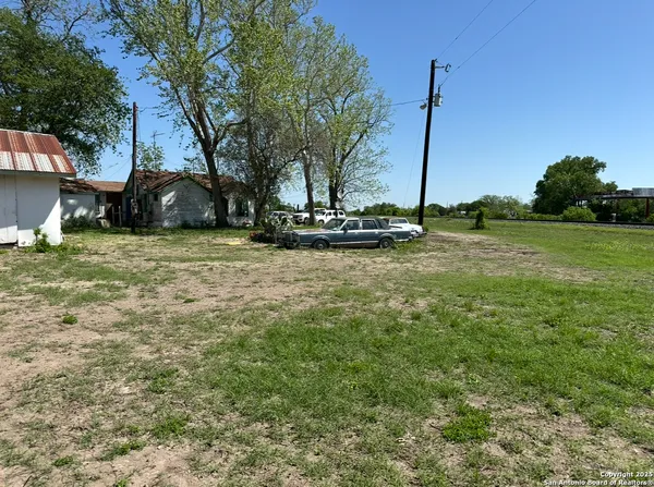a view of a garden with a tree