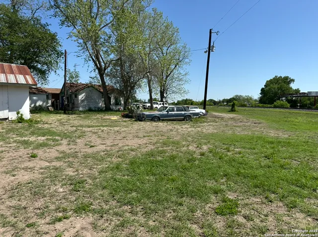 a view of a garden with a tree