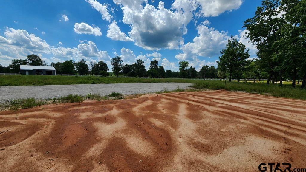 151 Bluewood Road Big Sandy, TX 75755 - Photo 16 of 33