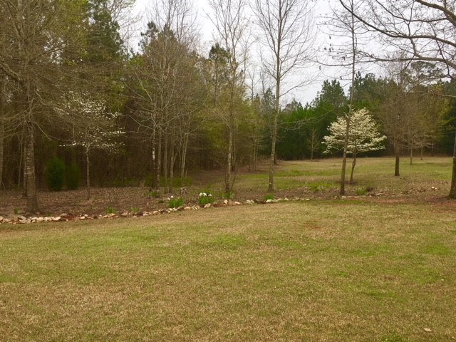 88 Lower Simmons Road Macon, GA 31220 - Photo 24 of 43