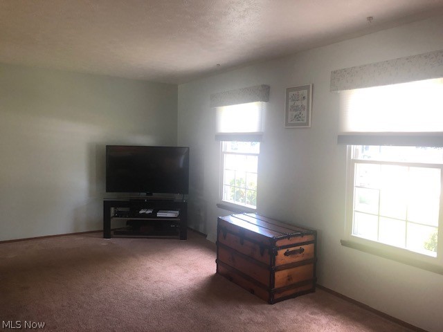 5625 Dolphin Road Mentor, OH 44060 - Photo 9 of 25 Gallery Image 9