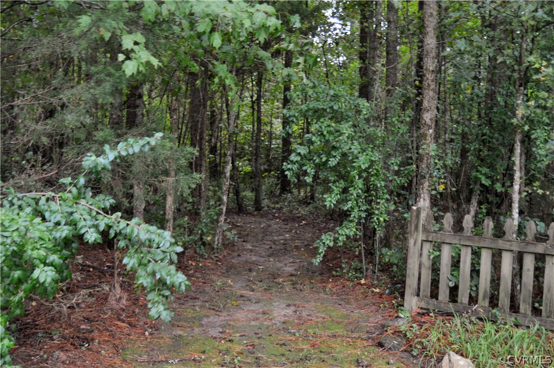 4278 Dorrell Road Aylett, VA 23009 - Photo 33 of 34 a view of a forest with lots of trees