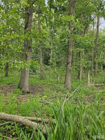 $500,000 | 0 Cr 71 Saint Joe In 46785, St. Joe, IN 46785