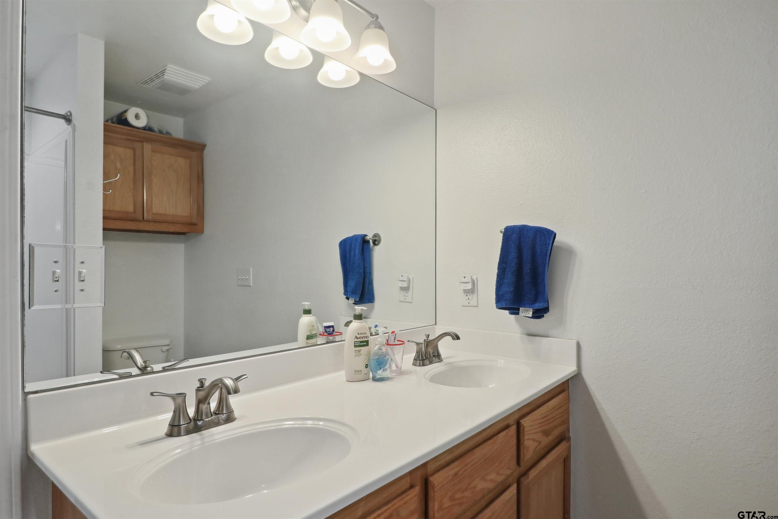 830 County Road 2201 Rusk, TX 75785 - Photo 24 of 40 a bathroom with a sink vanity and a mirror