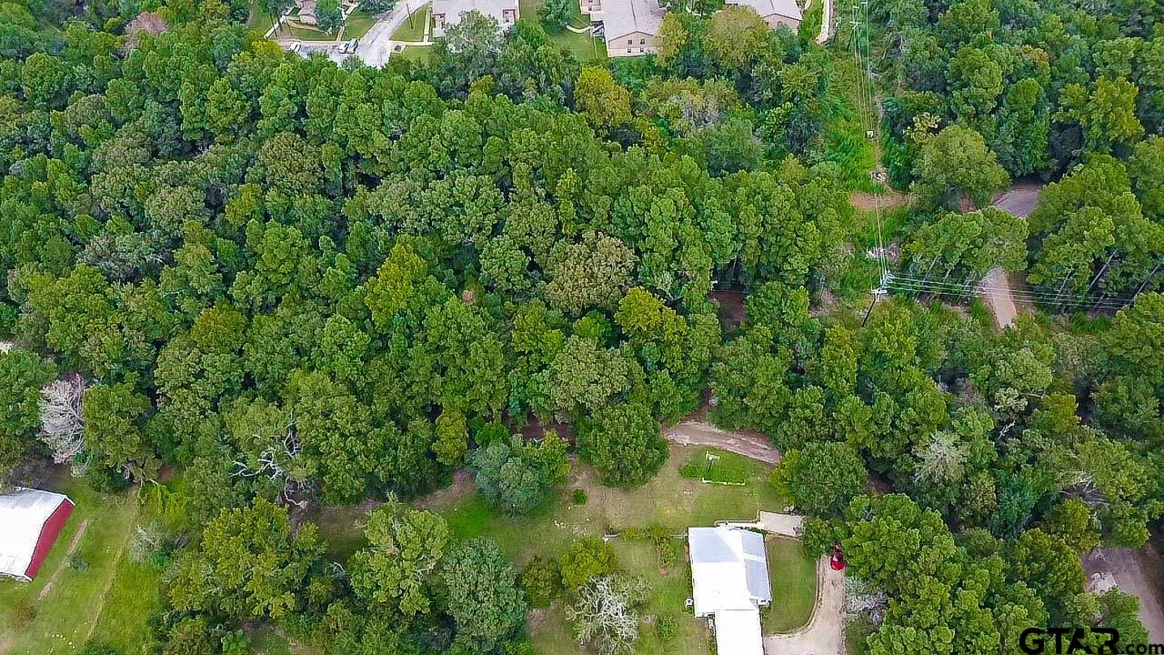830 County Road 2201 Rusk, TX 75785 - Photo 36 of 40 an aerial view of a house with a yard and lake view