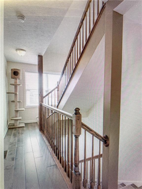 13 Alpine Avenue Pittsburgh, PA 15212 - Photo 19 of 25 Gallery Image 19