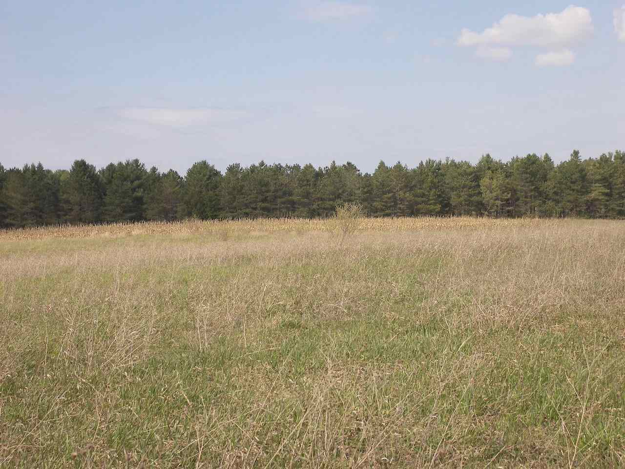 12426 South Maple City Road Maple City, MI 49664 - Photo 94 of 98 1889228-93.JPG