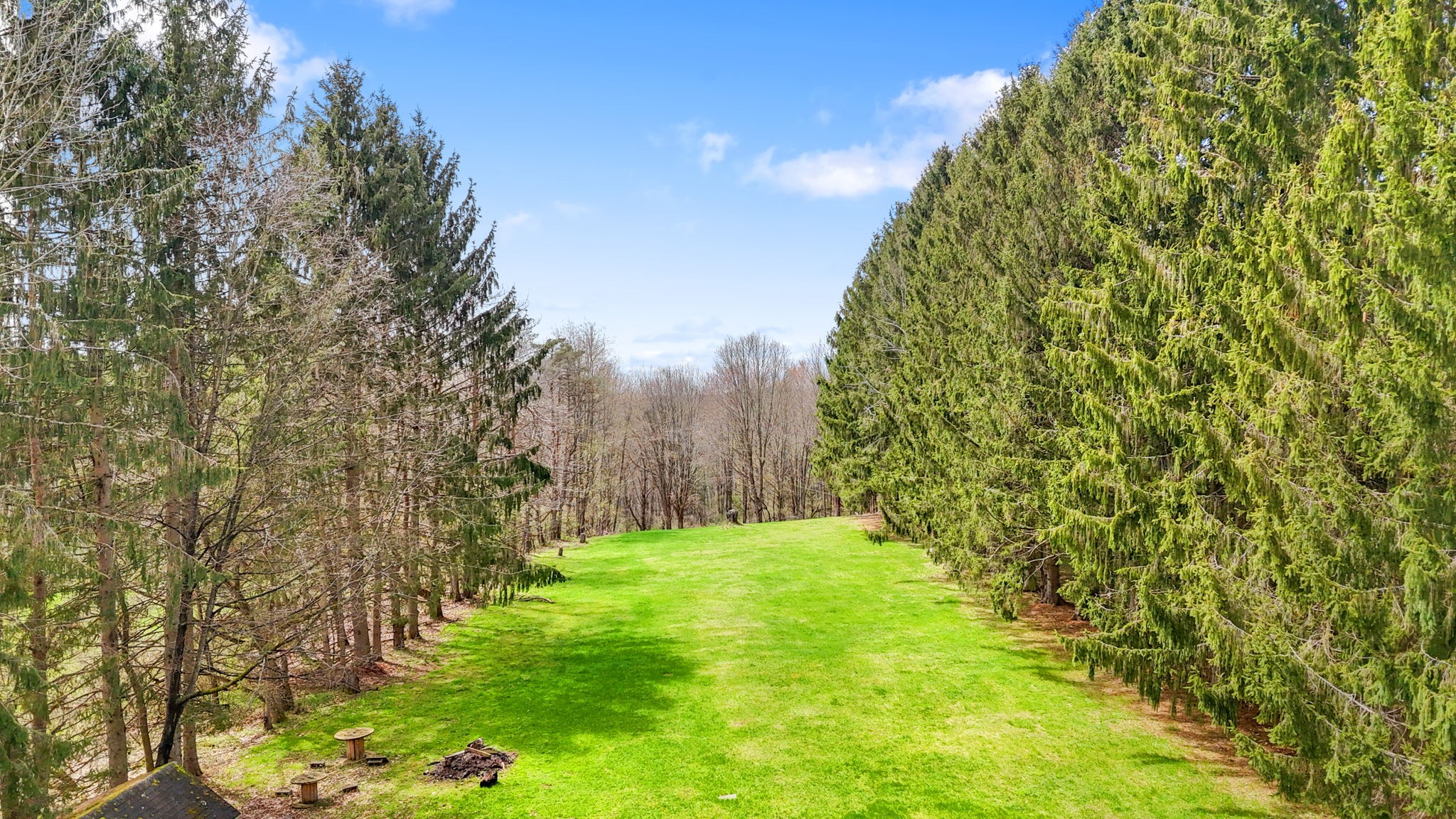 145 Wilson Hill Road Binghamton, NY 13905 - Photo 3 of 33