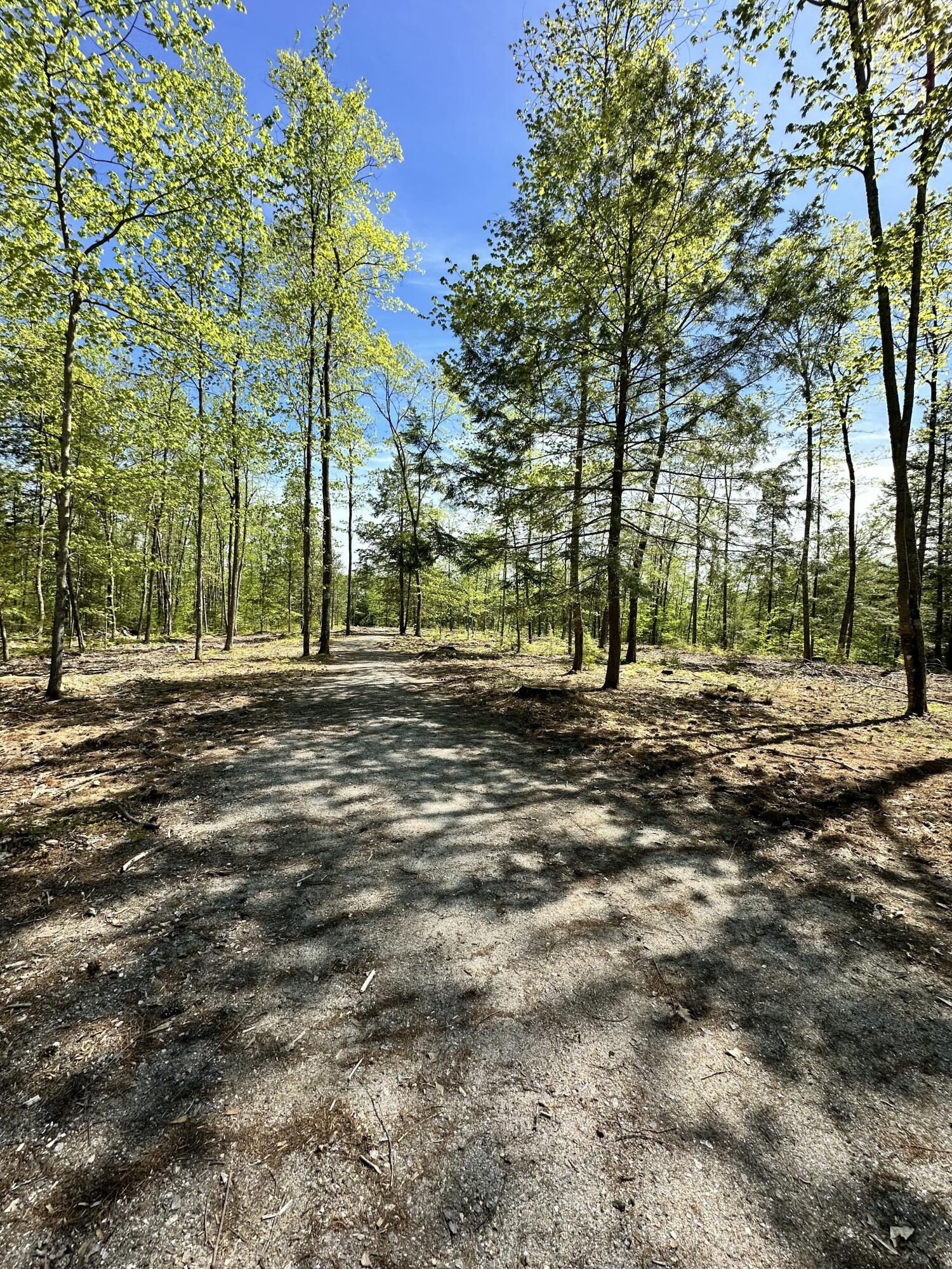 19 Grist Mill Road Naples, ME 04055 - Photo 18 of 31 Driveway