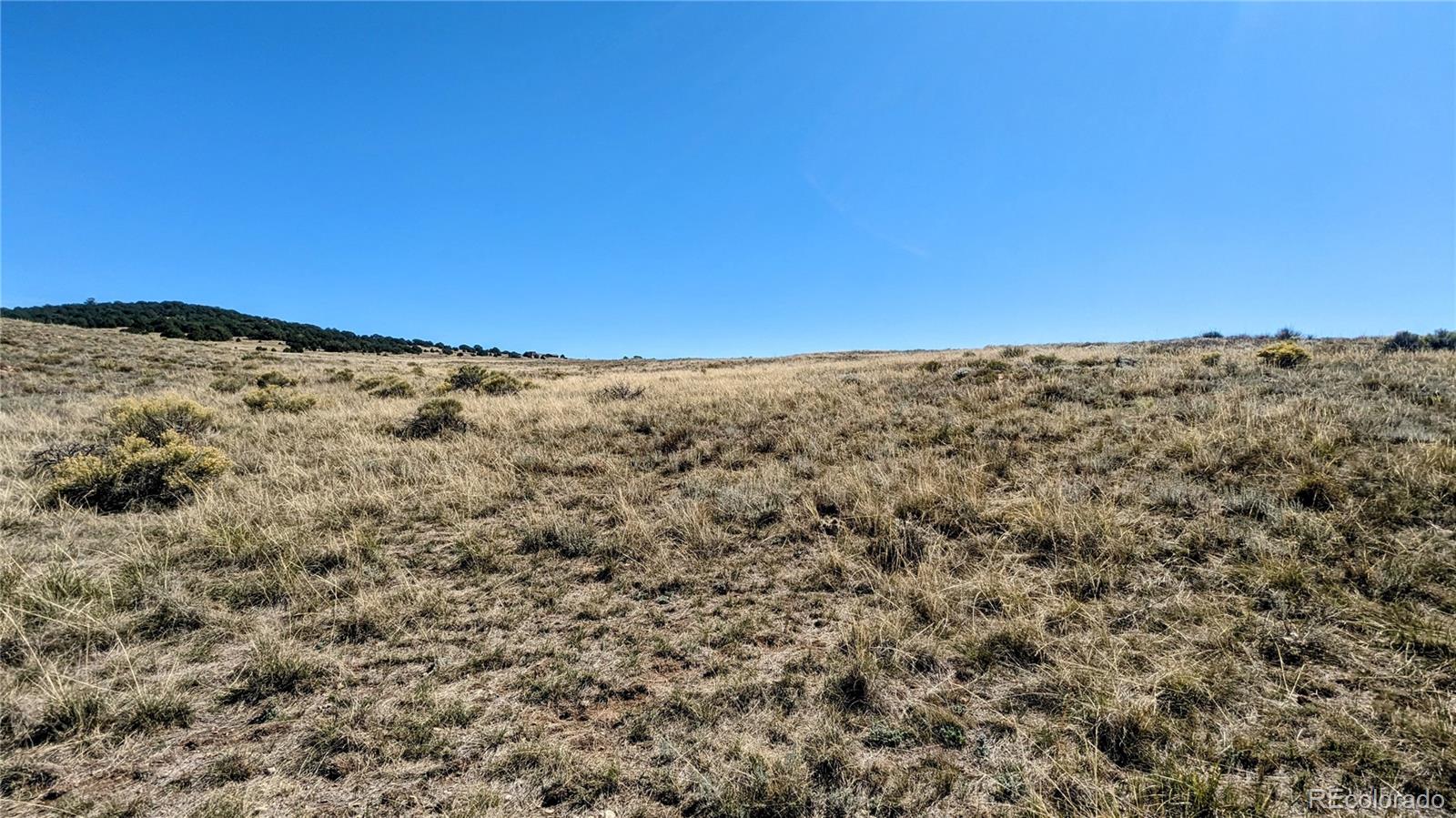 1745 Commanche Road Westcliffe, CO 81252 - Photo 10 of 18 Gallery Image 10