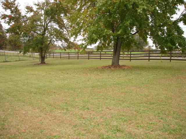 3991 Old Furnace Road Chesnee, SC 29323 - Photo 11 of 25 Gallery Image 11