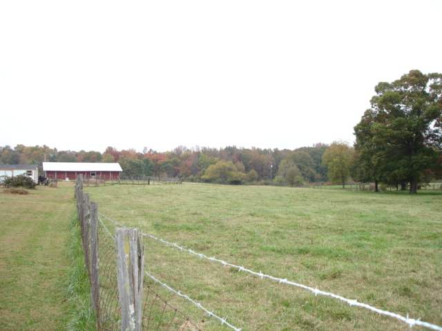 3991 Old Furnace Road Chesnee, SC 29323 - Photo 14 of 25 Gallery Image 14