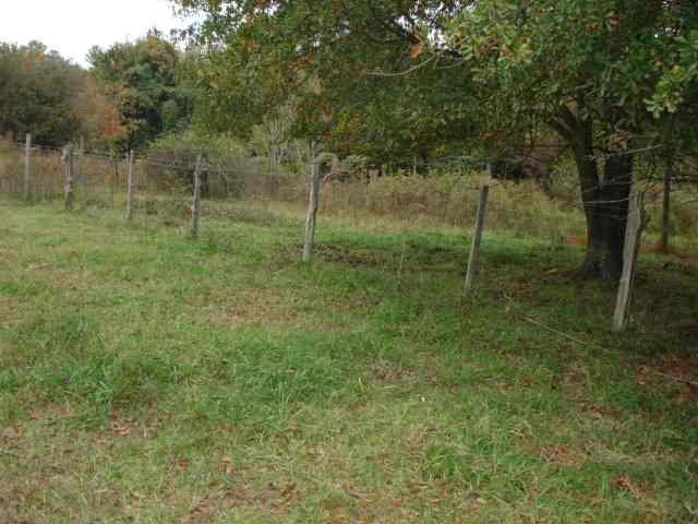 3991 Old Furnace Road Chesnee, SC 29323 - Photo 16 of 25 Gallery Image 16