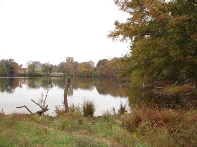 3991 Old Furnace Road Chesnee, SC 29323 - Photo 18 of 25 Gallery Image 18