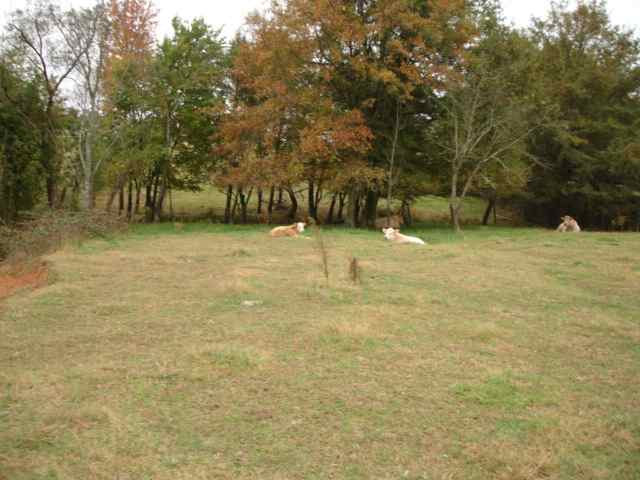 3991 Old Furnace Road Chesnee, SC 29323 - Photo 20 of 25 Gallery Image 20